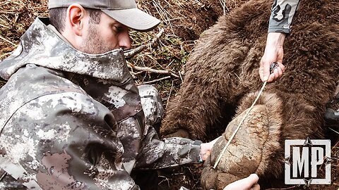 Giant Alaska Brown Bear - The Trophy Room | Mark V. Peterson Hunting