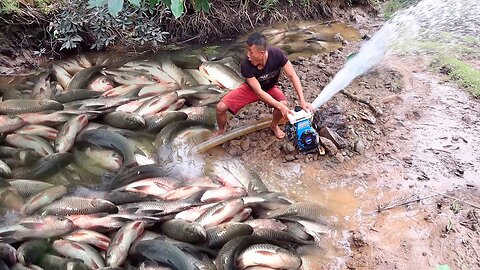 Unique Underwater Fishing | Best Fish Catching | Best Fishing Video