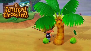 Visiting a Mysterious Island in Animal Crossing New Horizons