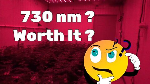 Is 730nm worth using in your grow lights ? #hellyes #don'tbeleftbehind