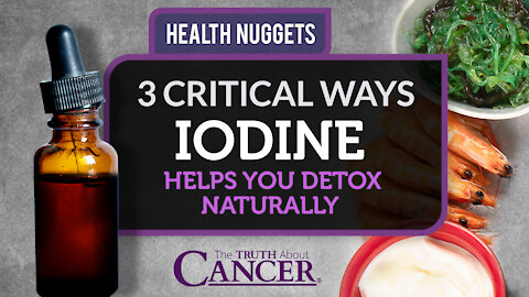 The Truth About Cancer: Health Nugget 19 - 3 Critical Ways Iodine Helps You Detox Naturally