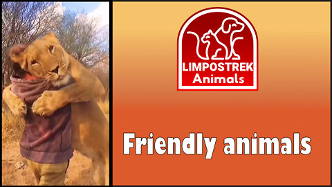 Friendly animals