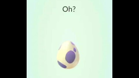 Pokemon Go 10K Egg Hatch 12-10_5