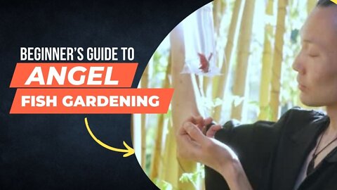 angel gardening with fish part-2 #shorts #trending