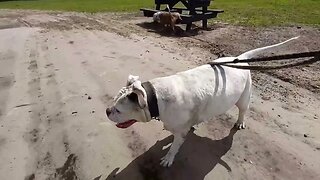 Famke en Winnie op het strandje bij Lange hoek in Tromphorne nabij camping pressefinne