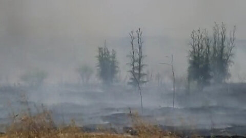 B-Roll: Pendleton, civilian firefighters train to fight wildland fires during annual Fire School