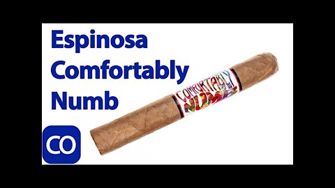 Comfortably Numb by Espinosa Vol 1 Cigar Review
