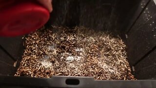 How to prepare bedding for a new worm bin