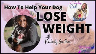 How To Help Your Dog Lose Weight with Kimberly Gauthier of Keep The Tail Wagging
