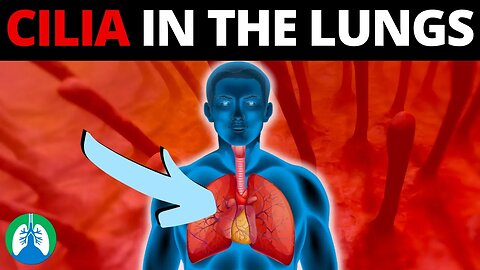 Respiratory Cilia (Medical Definition) | Quick Explainer Video