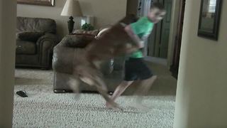 Funny Adventures Of A Young Boy And His Pet Dog