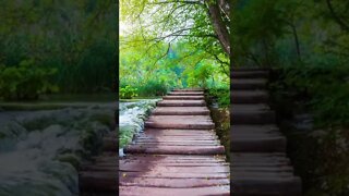 AMAZING Nature Pathway with Relaxing Music 🌿#shorts #short #nature #trending #ytshorts