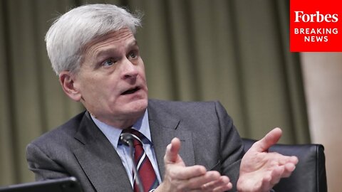 Bill Cassidy Says Current Mental Health Programs In Schools Have Major Flaws