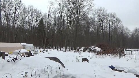 Still Digging Out The Homestead & Snow Plow Cut Internet Line