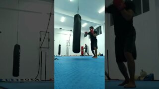 Kick, punch, Elbow and Knee The Bag (22)