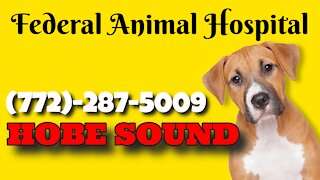 Federal Animal Hospital, Southeast Federal Highway, Hobe Sound, Florida
