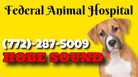 Federal Animal Hospital, Southeast Federal Highway, Hobe Sound, Florida