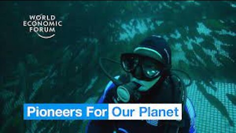 This innovative fish farm could revolutionise seafood production | Pioneers for Our Planet