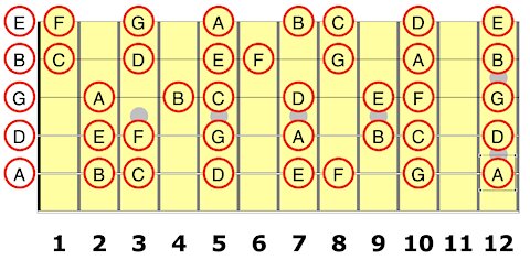 The 5th String for the Guitar Student