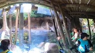 Discovery Cove in 360° #3
