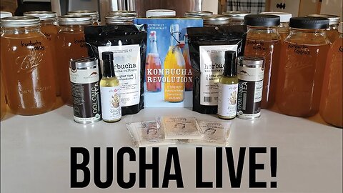 BUCHA LIVE! Make Kombuch With Us - If You're Getting Started or Ready For Second Ferments!