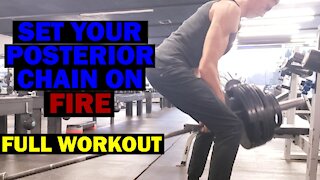 Finally Time for A Full Workout! Setting my Posterior Chain on Fire (Hams, Butt, Low Back)