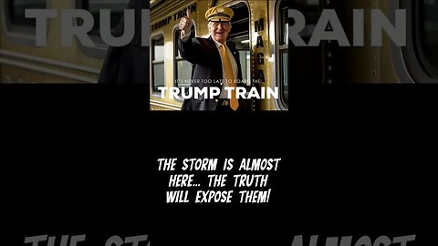 Get On The Trump Train 2024