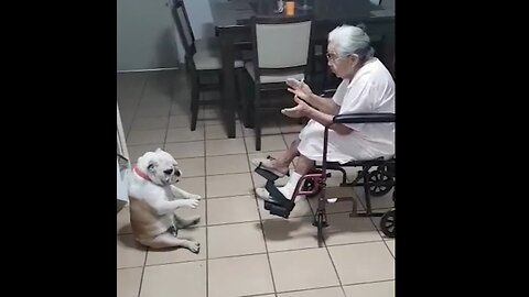 Goofy Dog Dances As Grandma Sings!😂