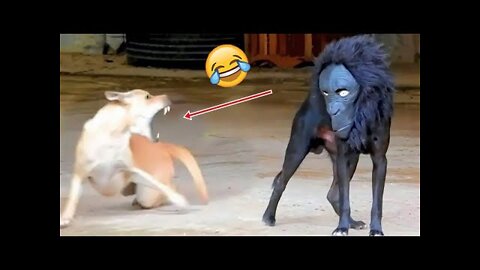 BAD DAY?? JUST WATCH THIS!! 😆🔥 BEST FAILS FUNNY MOMENTS #1