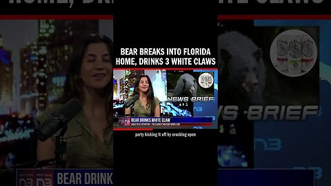 Bear Breaks into Florida Home, Drinks 3 White Claws
