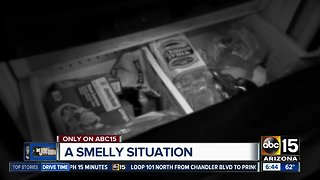 Let Joe Know investigates a smelly situation