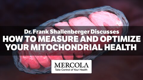 How to Measure and Optimize Your Mitochondrial Health- Interview with Dr. Frank Shallenberger and Dr. Mercola