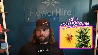 How to Break into the Cannabis Industry with David Belsky CEO of FlowerHire @TrueBudsShow