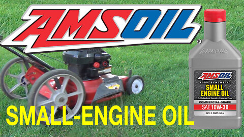 AMSOIL Synthetic Small Engine Oil 10W-30 & Fuel Stabilizer