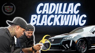 Insane RARE Manual CT5-V Blackwing Must Be Protected AT ALL COSTS.