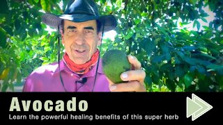 Amazing Benefits of Avocado
