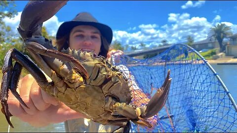 MUDCRAB Catch and Cook! Caught in CRABPOT (Fishing Australian CANALS)