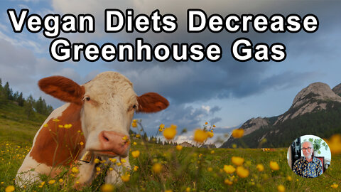 If We Switch To A Vegan Diet We Can Decrease Our Greenhouse Gas Productions By Half