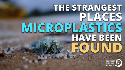 The Strangest Places Microplastics Have Been Found #shorts