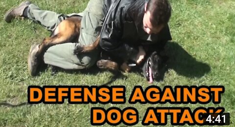 How to defend against a dog self defense against dog attacks