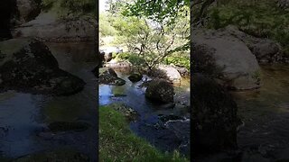 what my plans are today. mini vlog. riverside wildcamping. Dartmoor 24th May 2023