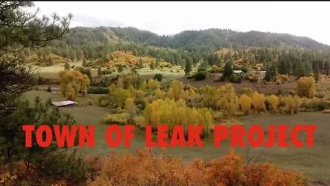 This will be the Town of Leak Project "Organic, Infinite Abundance"