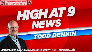 High At 9 News : Todd Denkin - Florida bill would allow doctors to approve medical marijuana