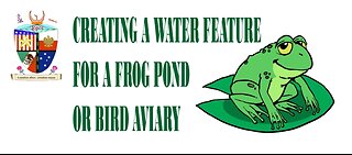 Creating A Water Feature For A Frog Pond Or Bird Aviary