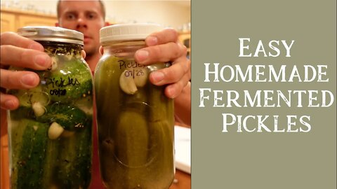 How to Make Fermented Pickles | Large Family Style | Free Recipe Download!