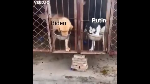 Biden Vs. Putin 😂