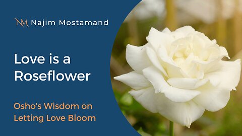 Love is a Roseflower: Osho's Wisdom on Letting Love Bloom