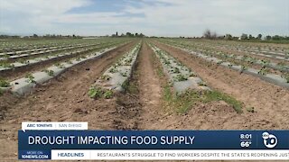 Drought impacting food supply