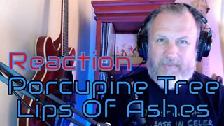 Porcupine Tree - In Absentia - Lips Of Ashes - First Listen/Reaction