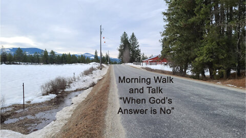 Morning Walk with the Dogs - A No Answer